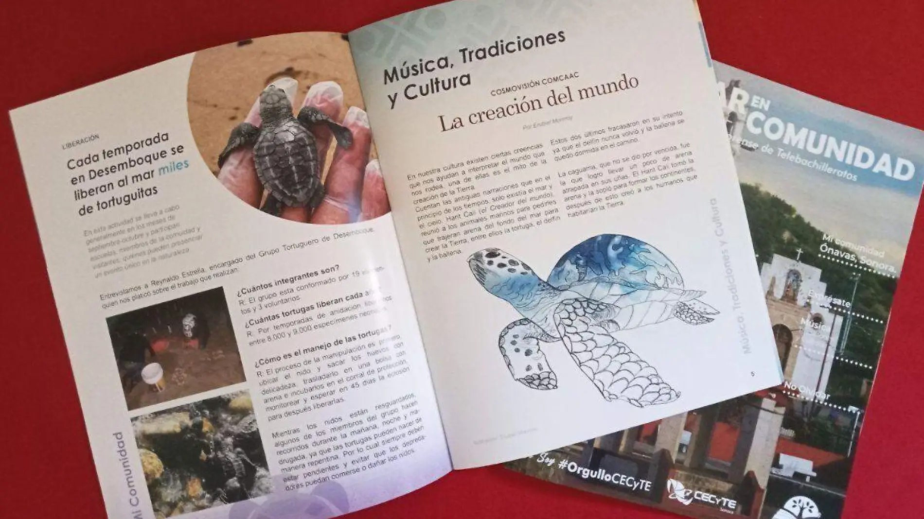 Revista Cecyte